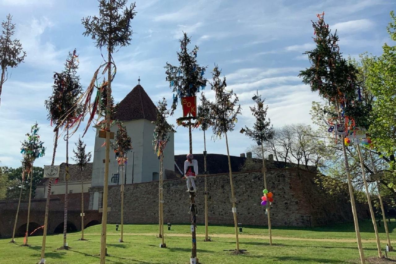 Cherry Apartmanhaz Sárvár المظهر الخارجي الصورة